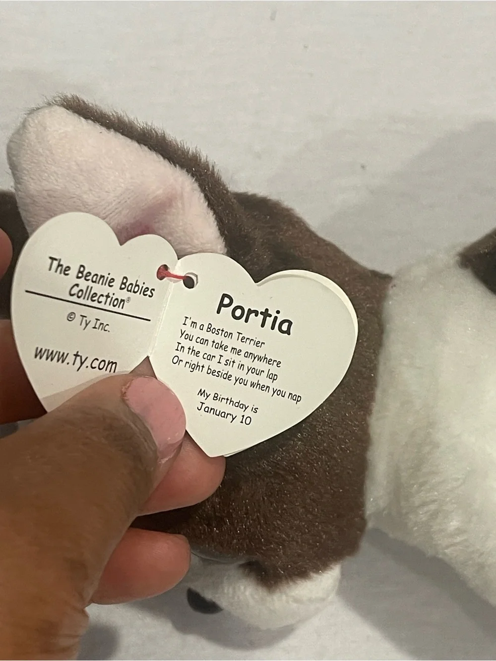 Ty Brown and White Plush Puppy with Blue Eyes